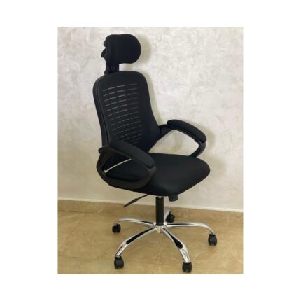 كرسى مدير شبك طبى